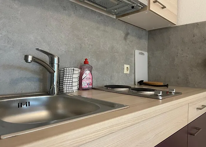 Apartment Stadtnahe Mit Terrasse *